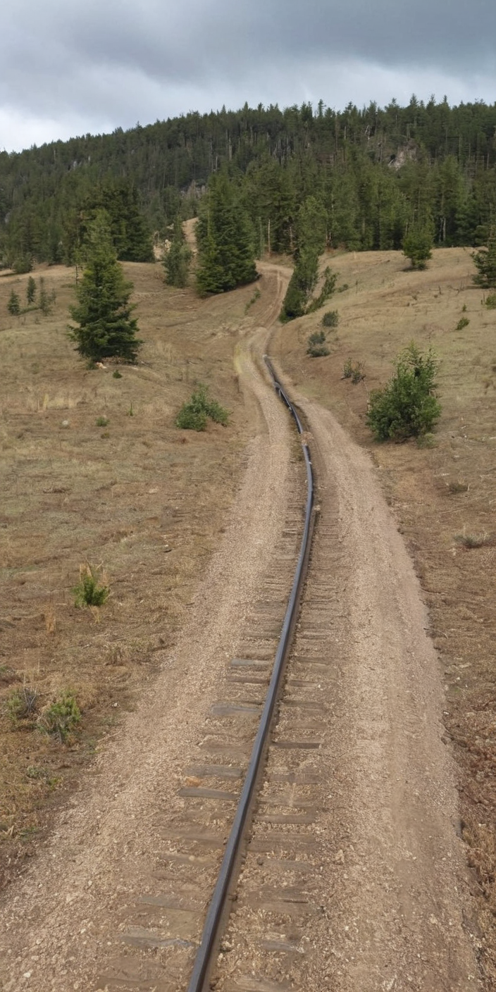 изображение: 2024 01 26 22 38 03 4801