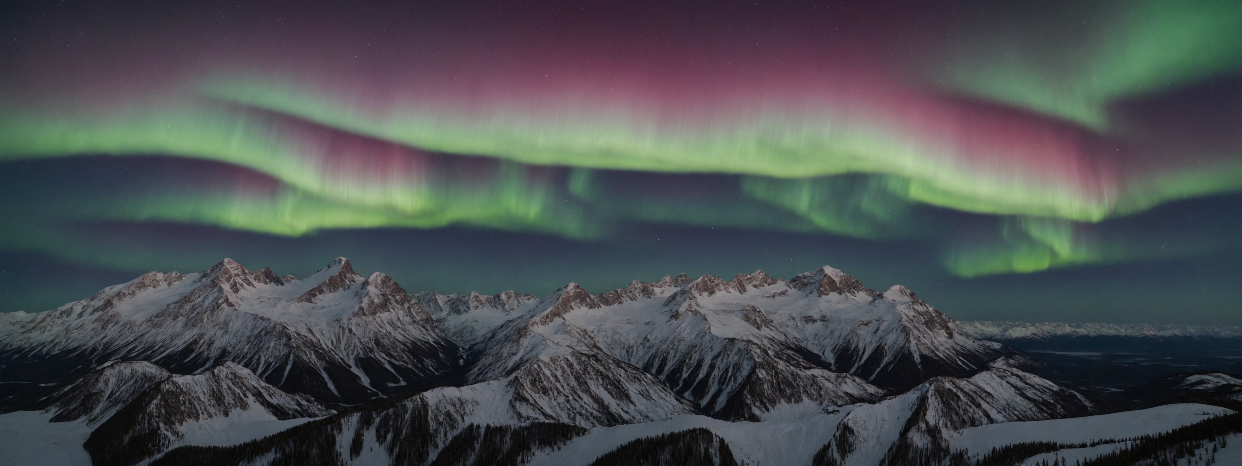 изображение: 2024 02 05 18 24 51 9161