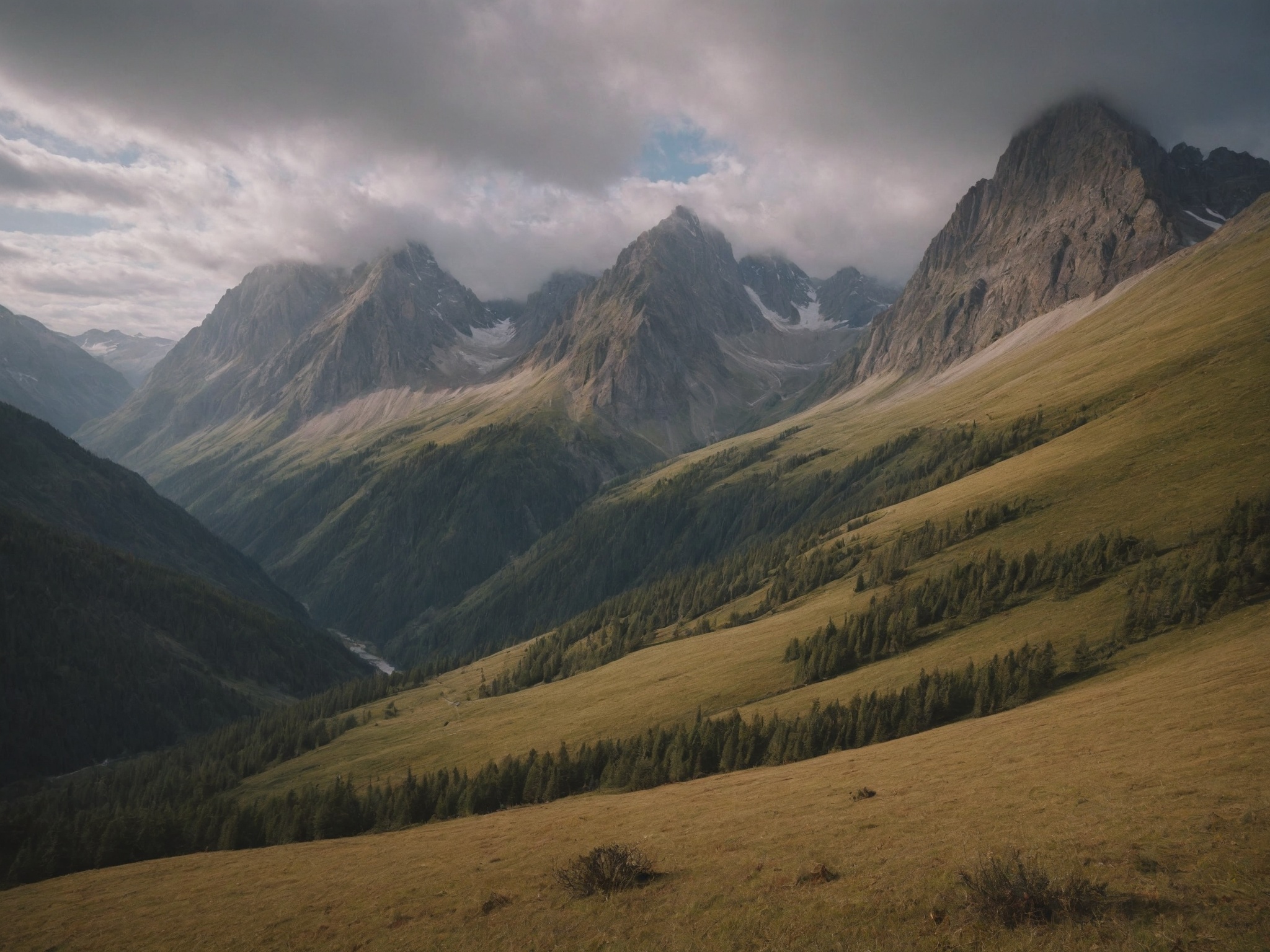 изображение: 2025 10 27 21 33 21 3969